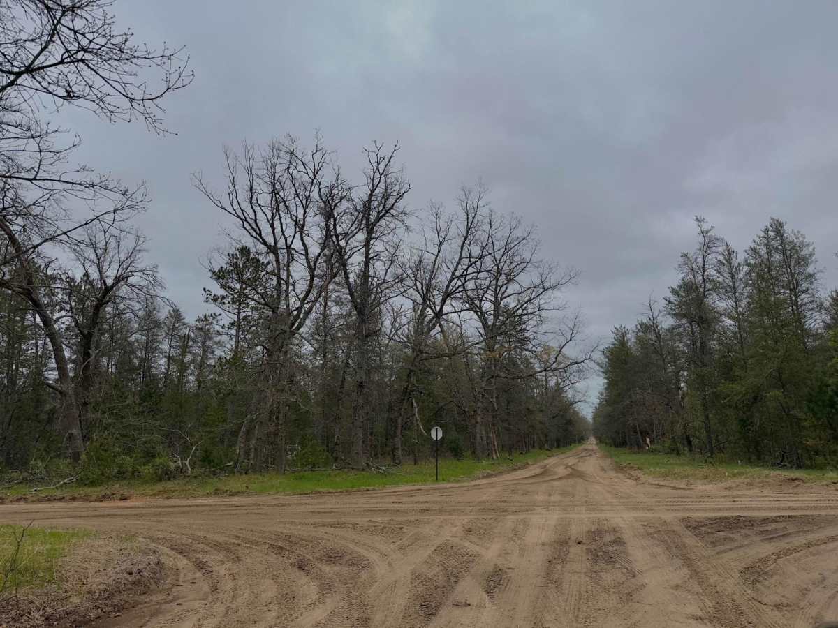 8 Mile Road photo 4