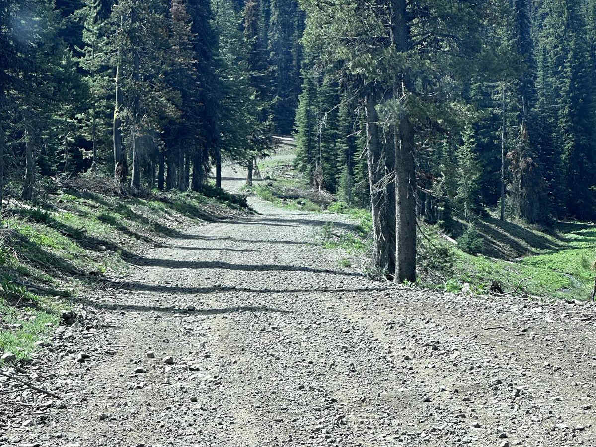 Meadows Goose Lake photo 5