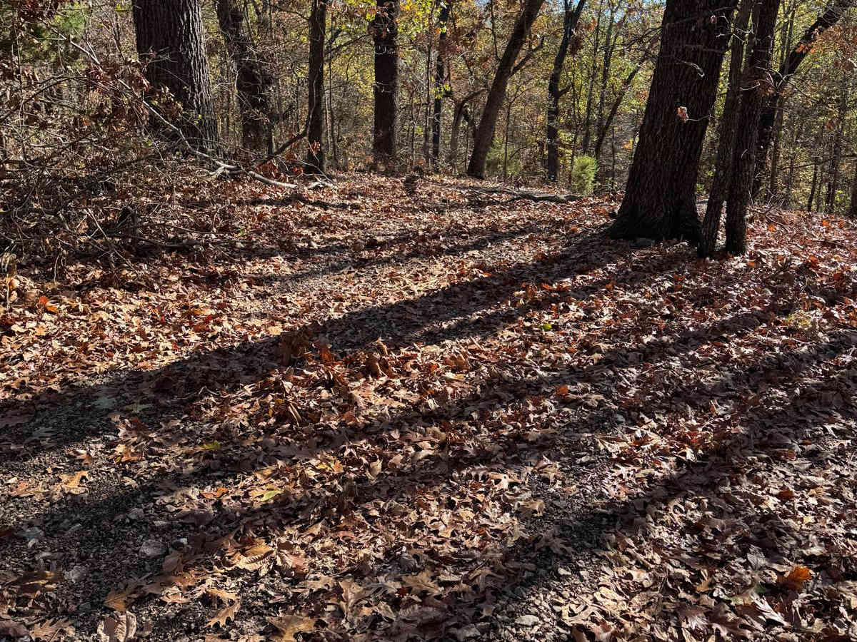 Green 134 photo 3