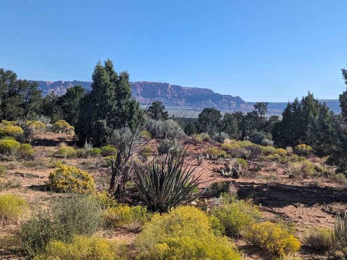 Lost Spring Mesa BLM 2100 photo 3