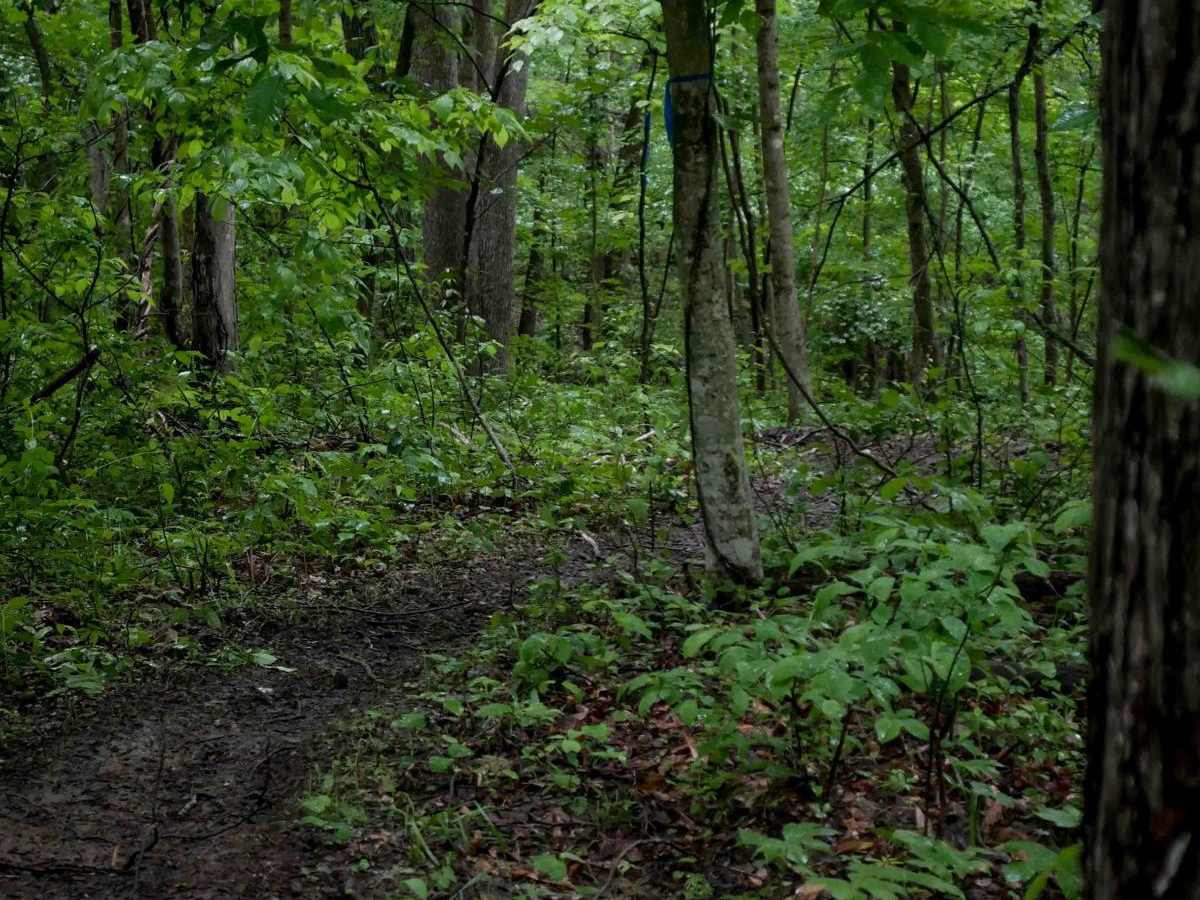 T45 photo 5