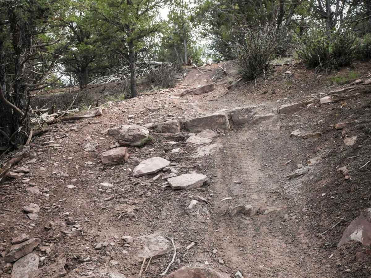 Ledge Trail trail photo