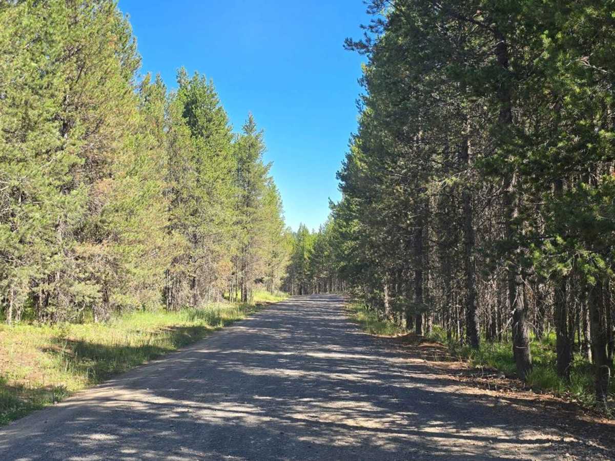 Stamp Meadows trail photo