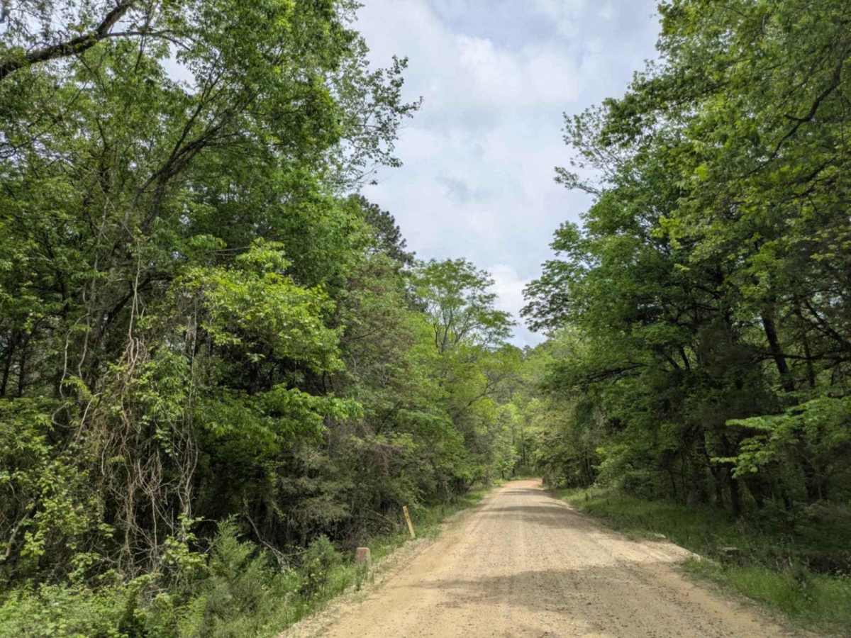 Spring Lake Access Road trail photo