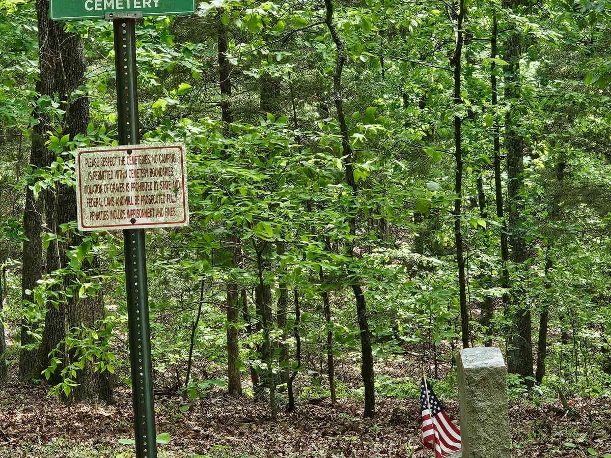 Forest Service Road 401 photo 3