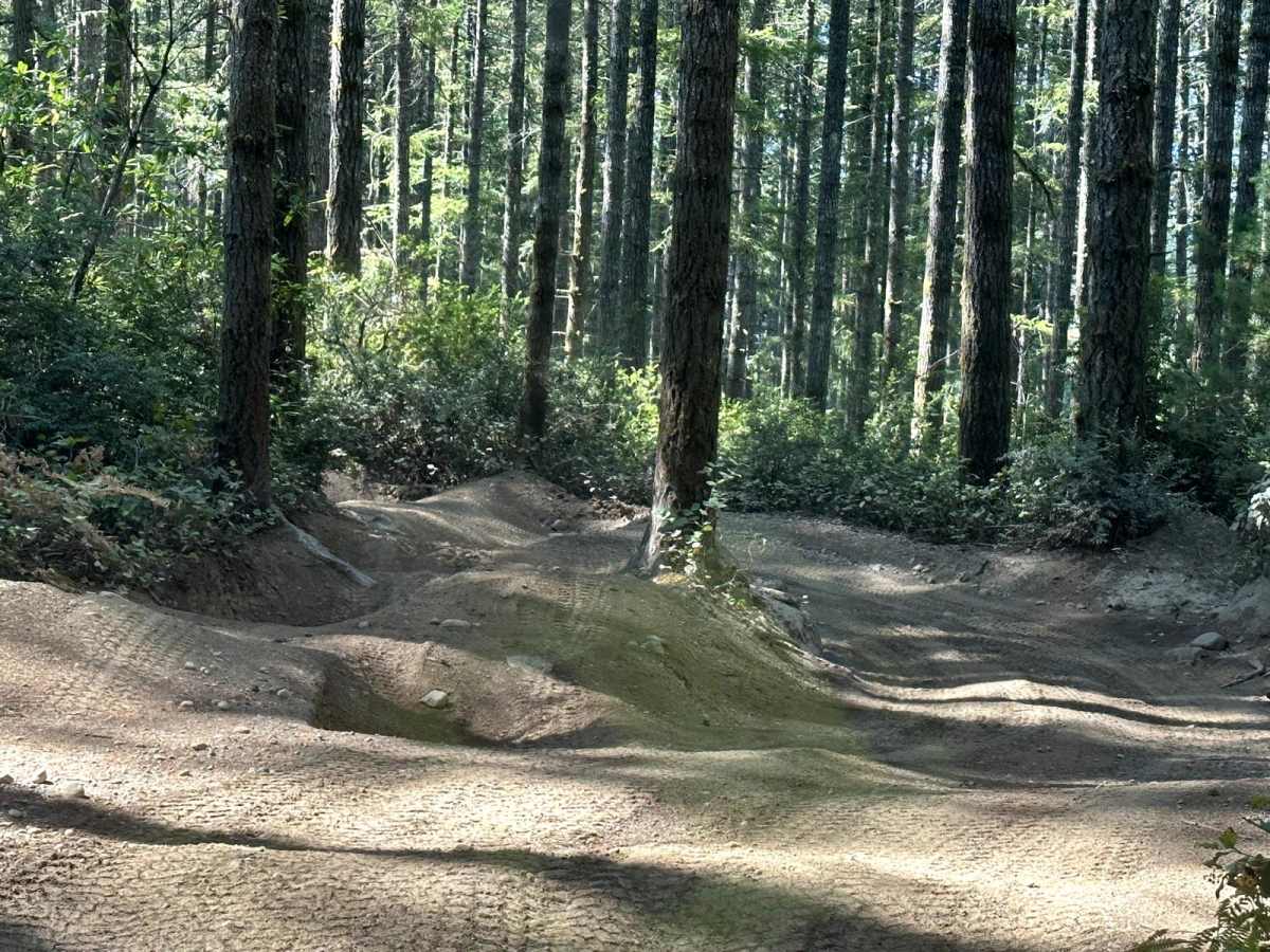 South Tahuya Loop photo 3