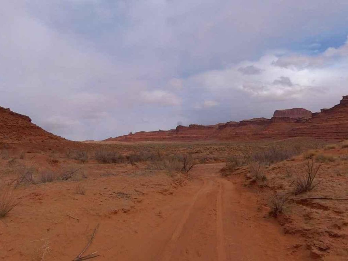 White Canyon Road photo 4