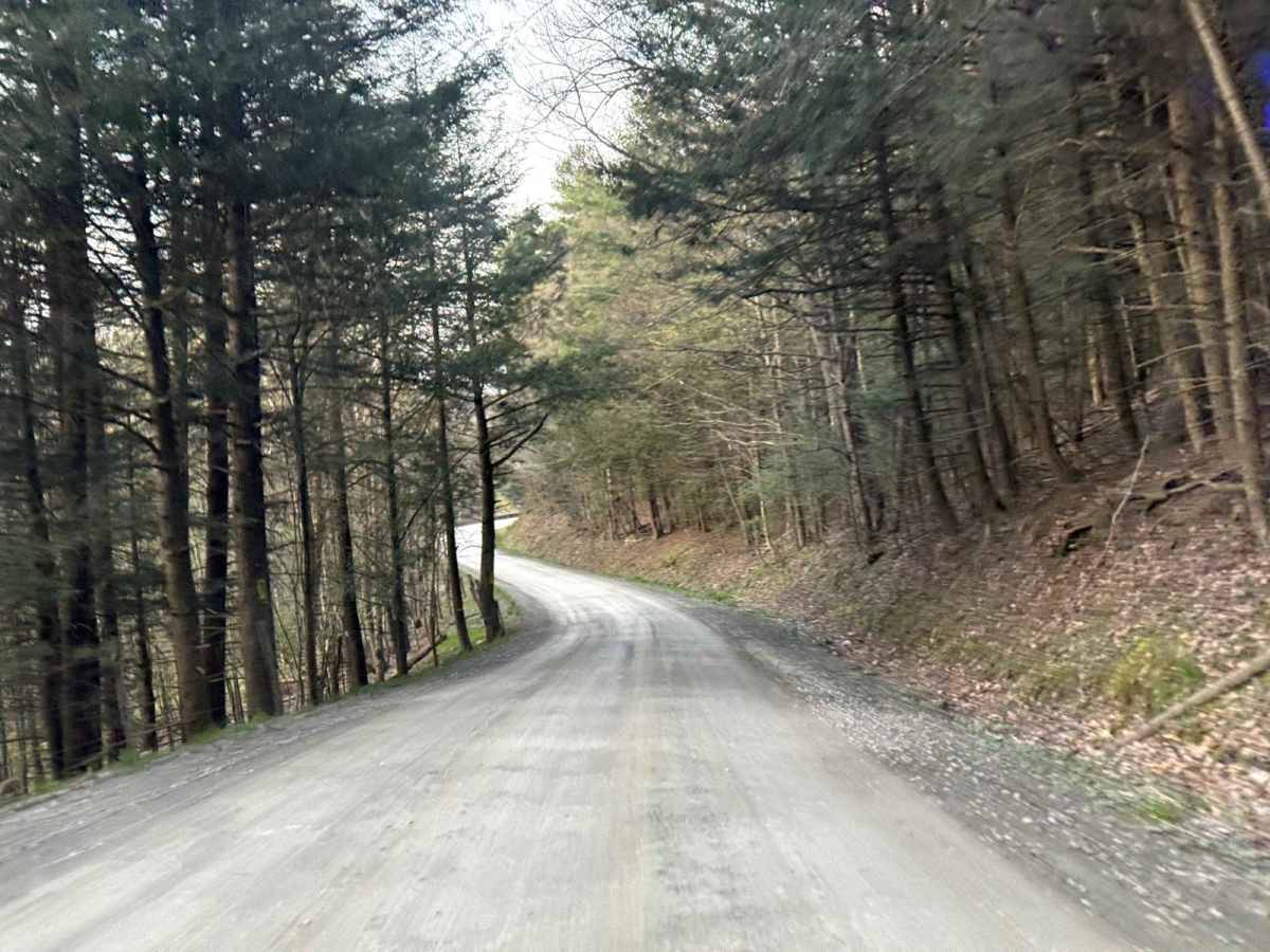 Brinton Road to Lyons Road photo 2