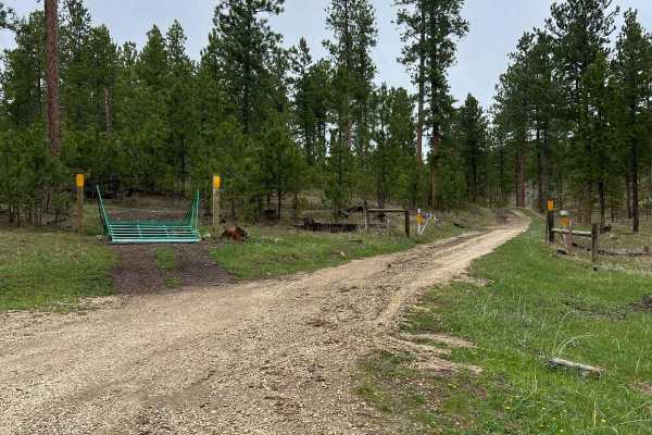 East Gimlet Trail