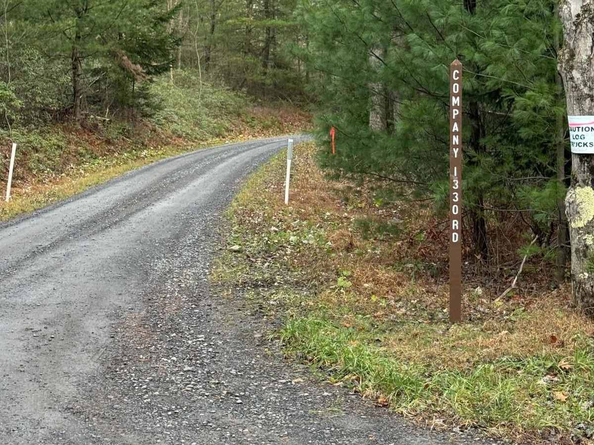 Company 1330 Road photo 5