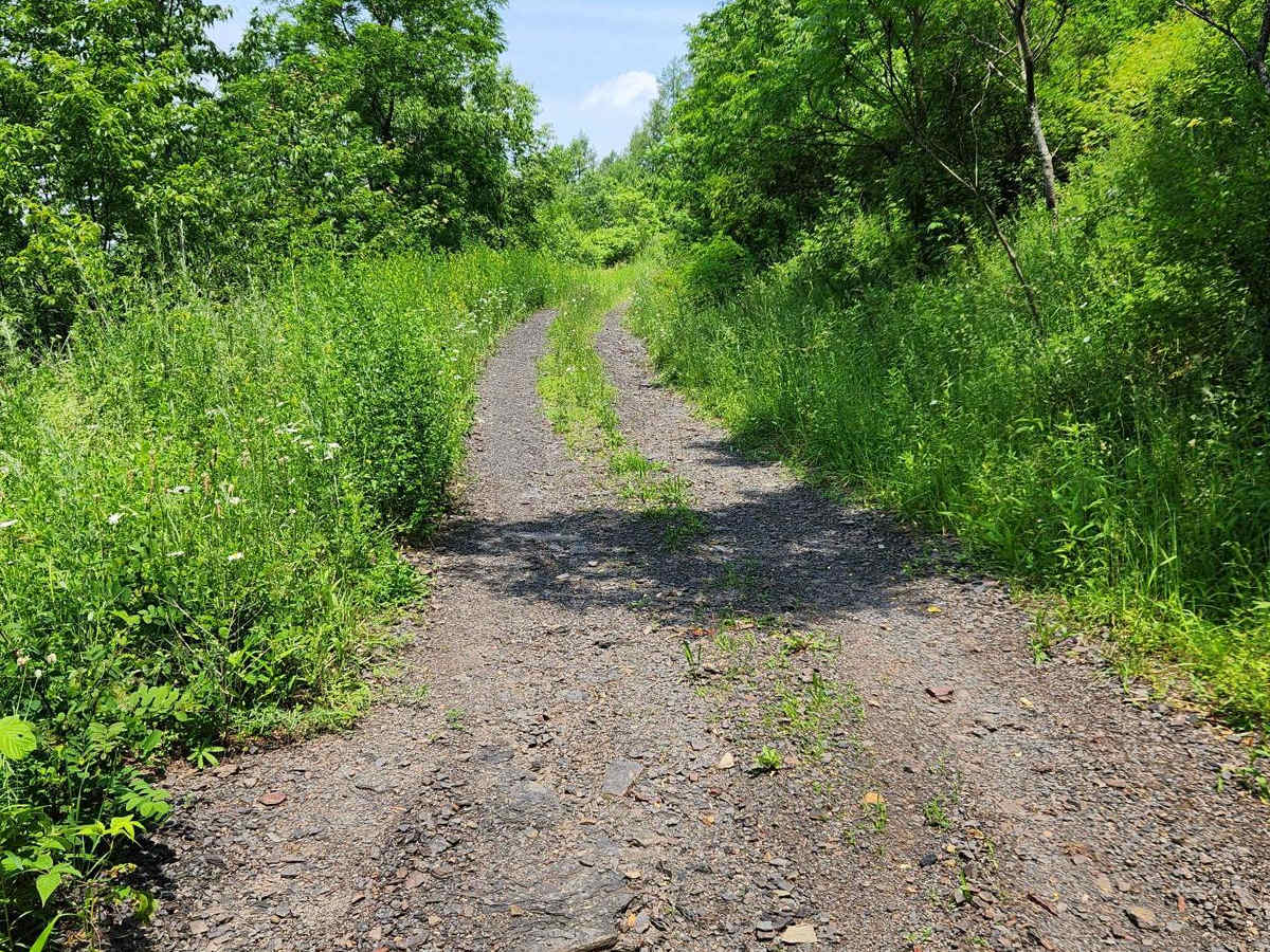 Trail 6I - Rock Run Recreation Area photo 5