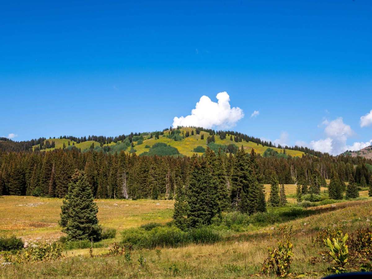 Leroux Creek Road - FS 128 trail photo