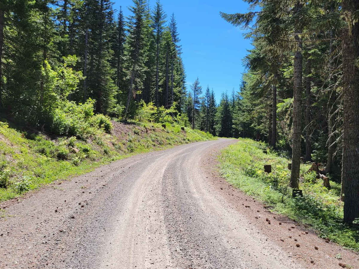 Upper FR 6350 - Grahams Pass photo 3