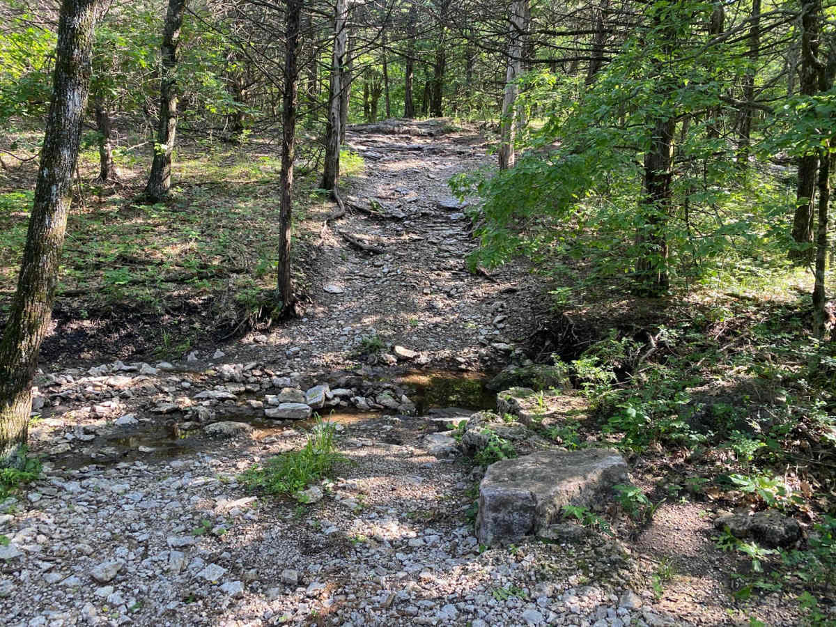 Ron's Rock photo 6