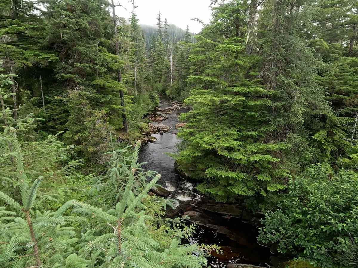 Fools Inlet - 6270 photo 5