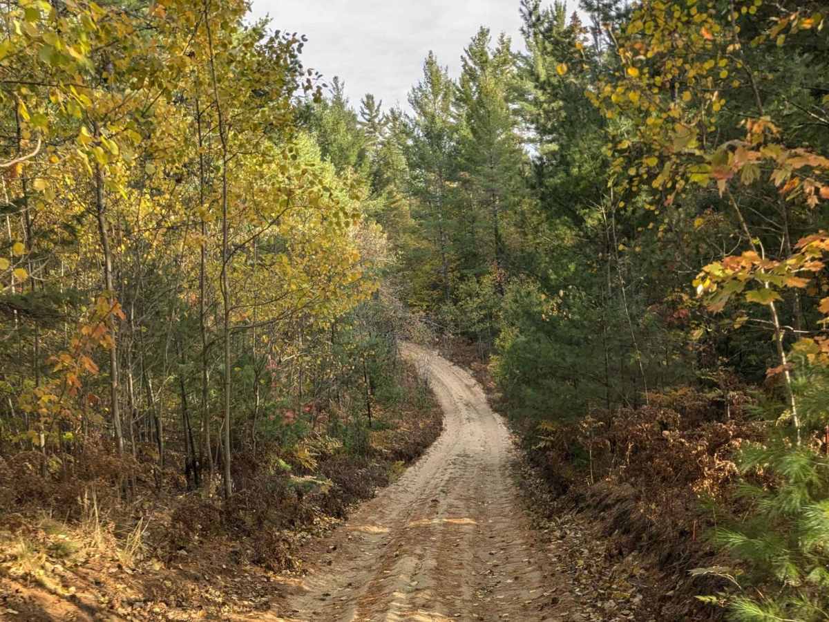Camp 9 Road photo 5