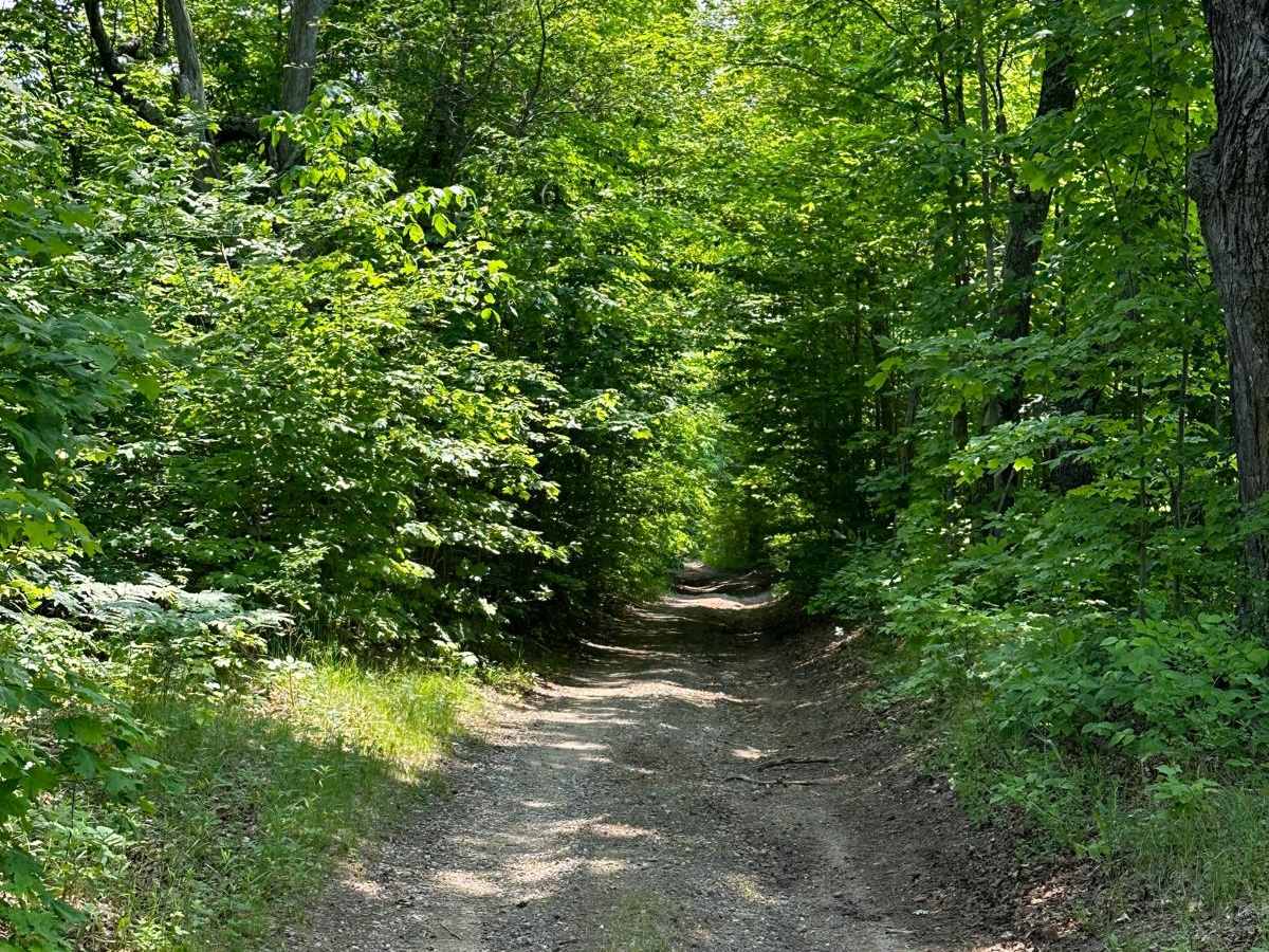 State Road photo 4
