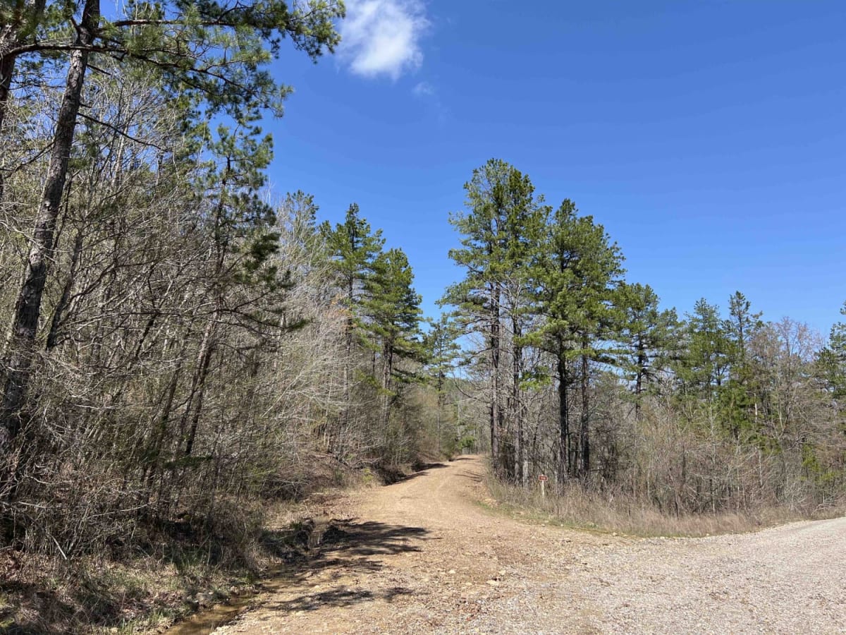 West Gafford 776 photo 3