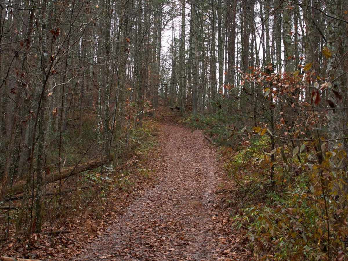 Long Creek Falls - FSR 757 photo 3