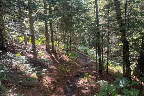 MCCCT Newberry to Rexton
