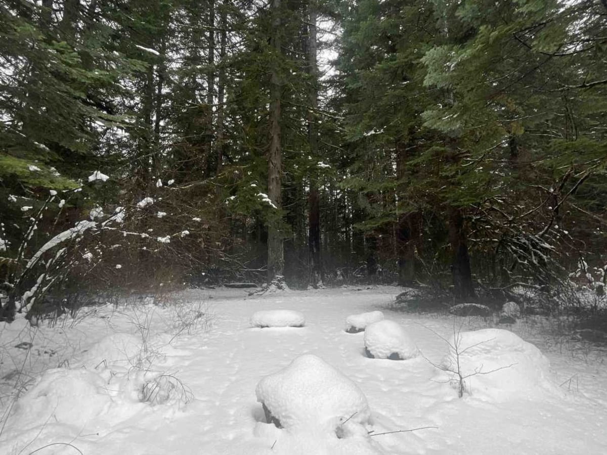 Carlson Creek Road trail photo