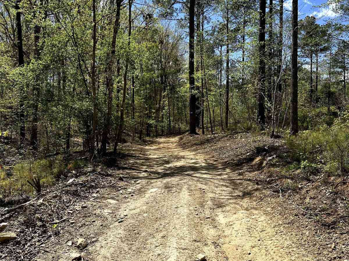 Trail 41 photo 3