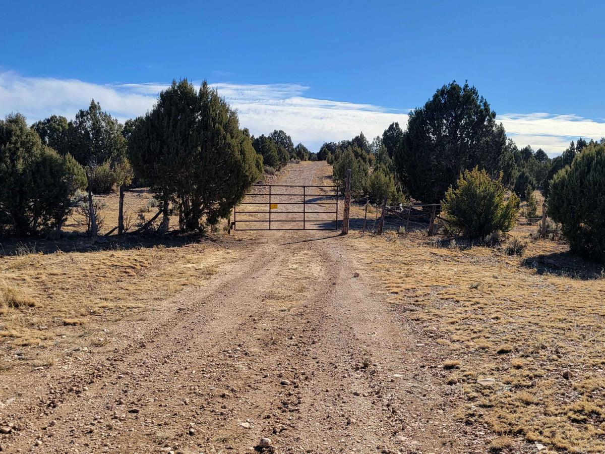 Grassy Point Road - BLM 1046 photo 6