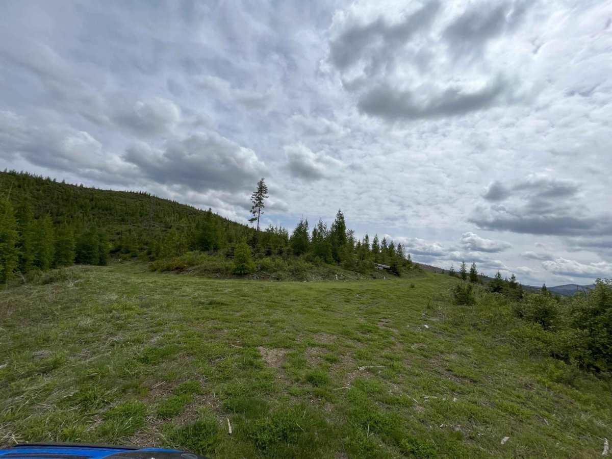 Clearcuts to Bob's Creek Road trail photo