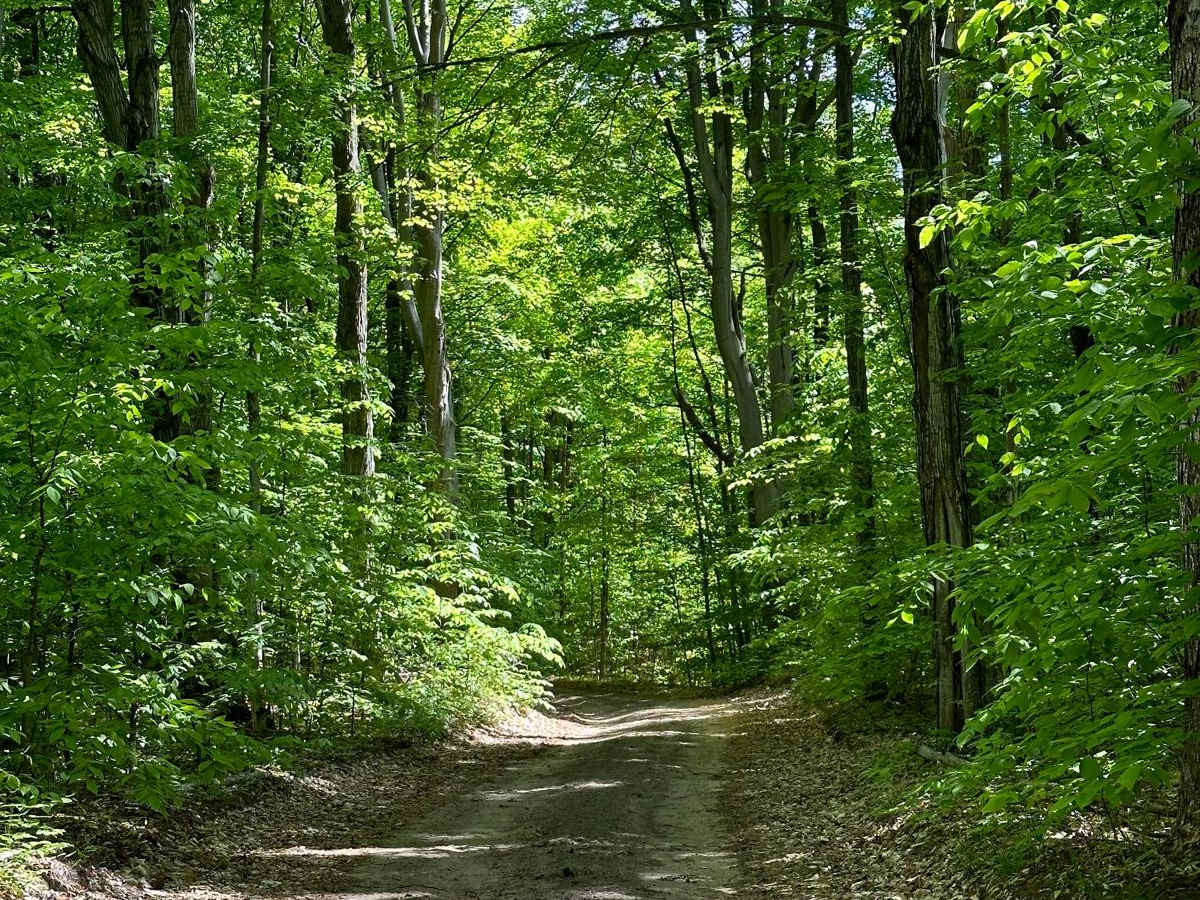 Haze Road trail photo