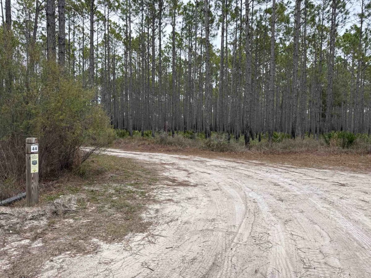Crooked River Road photo 3