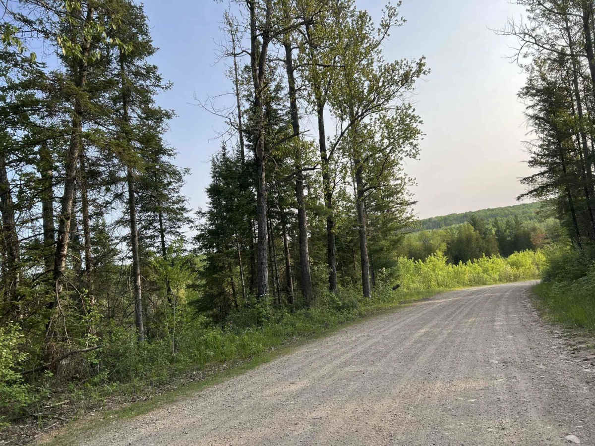 Browns Lake Road photo 2