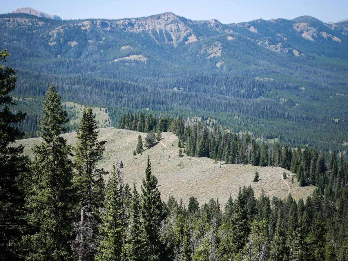 Cinnamon Trail trail photo