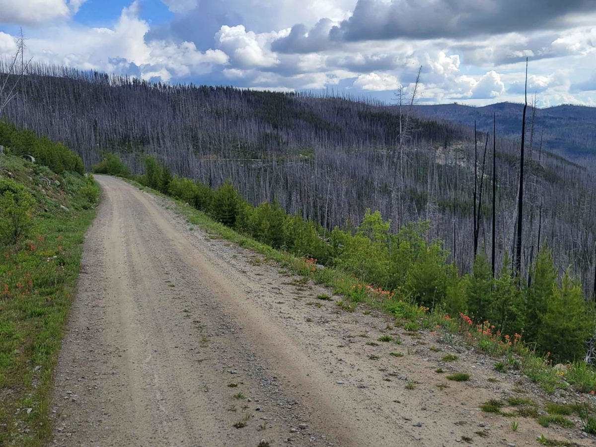 NF 39 (North) - Meadows-Toats photo 2