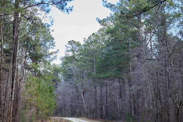 FSR124 - Freeman Road