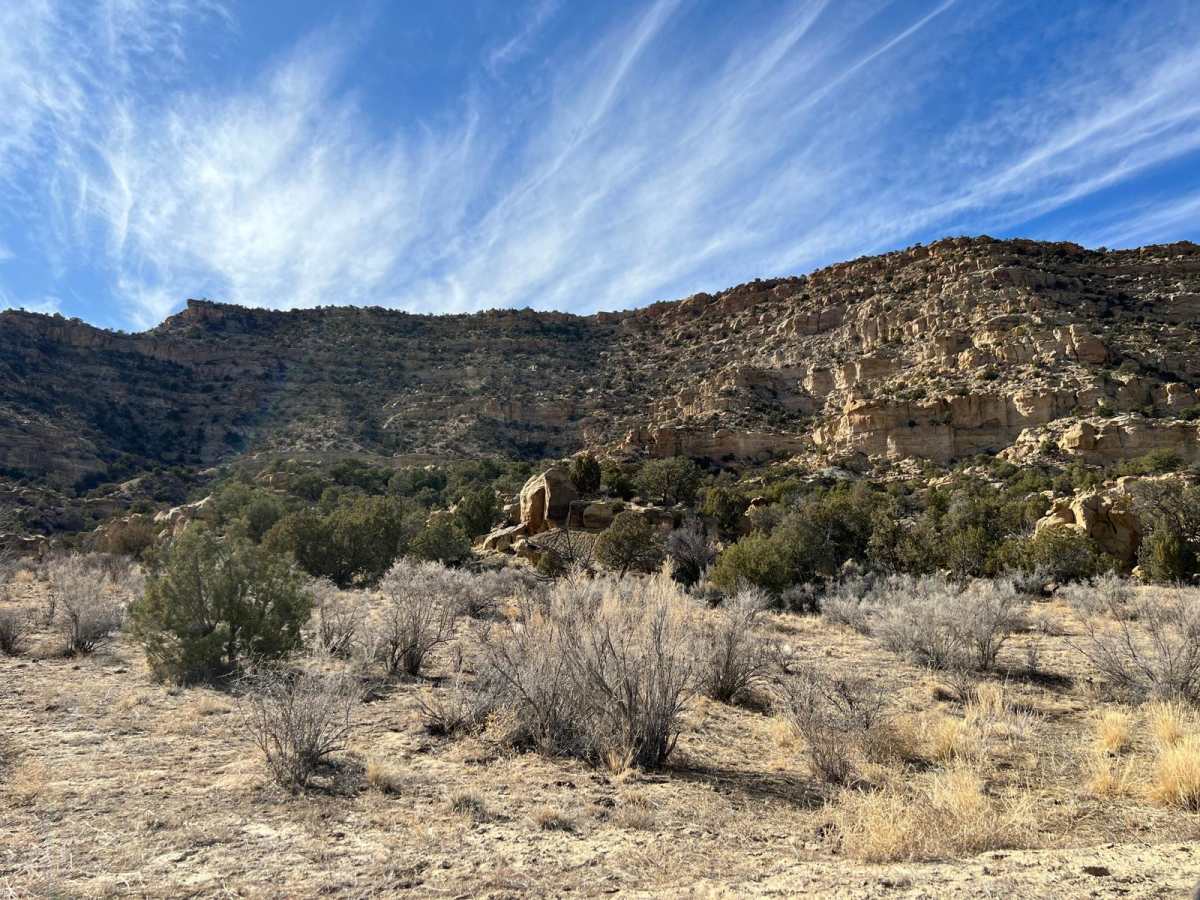 Crow Canyon Option photo 2