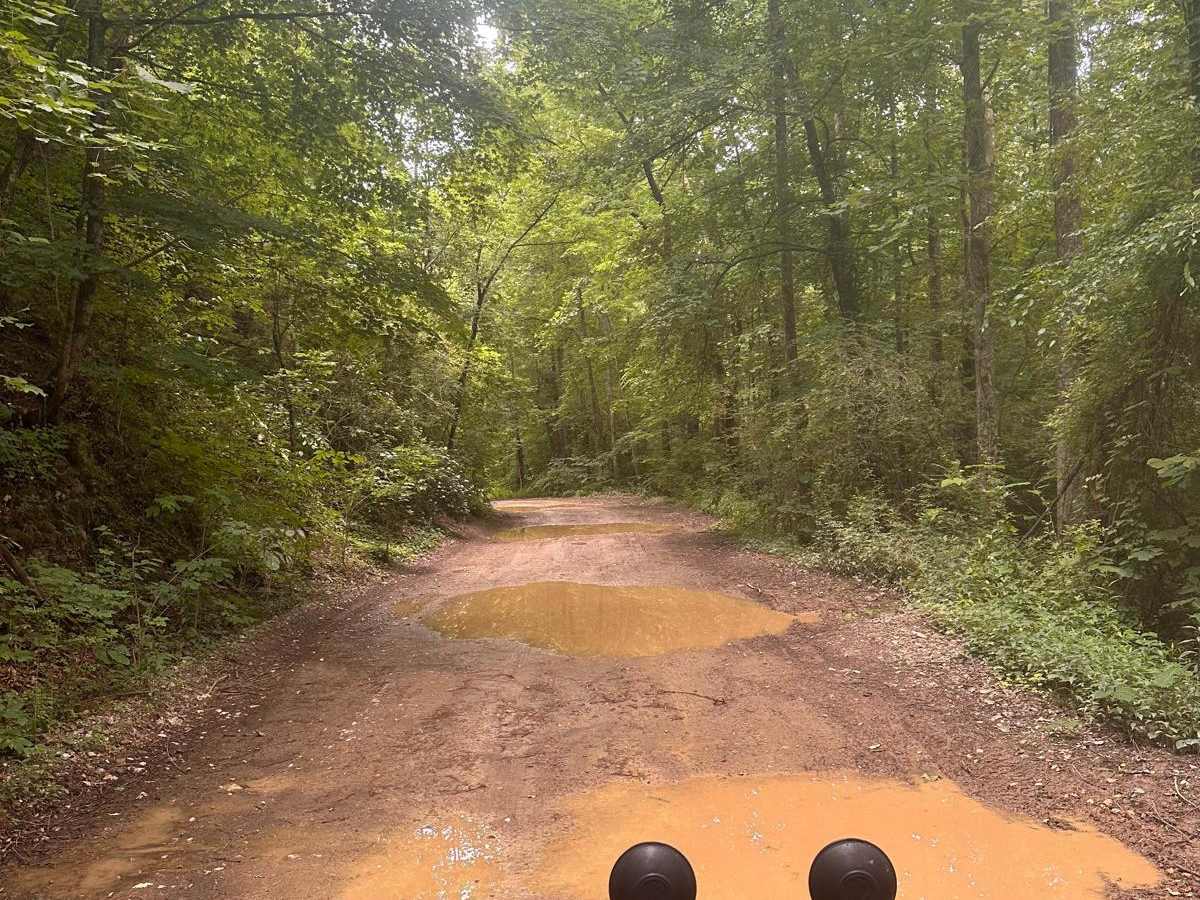 Trail G23 Windrock Park photo 3