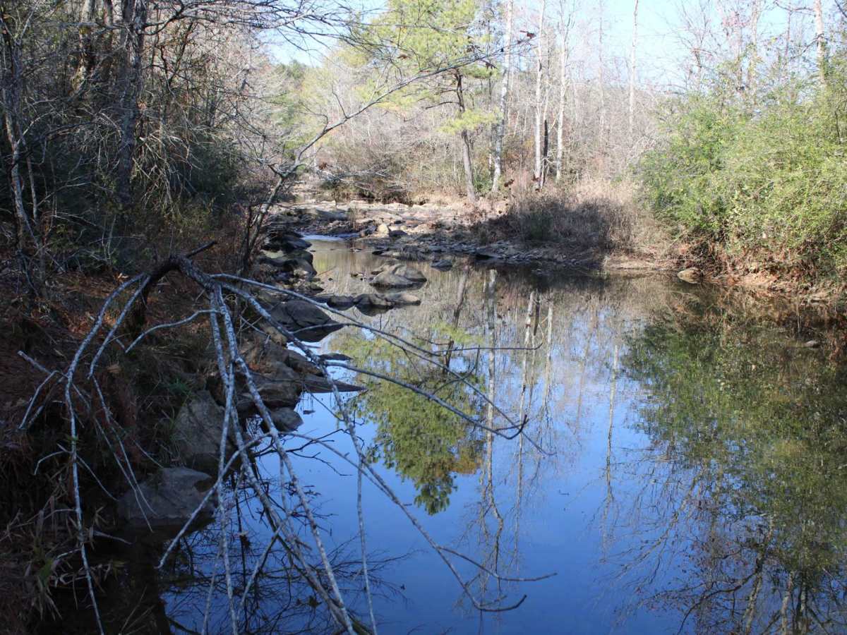 Rock Creek trail photo