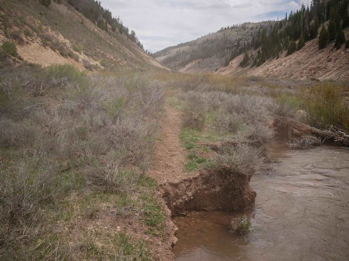 Willow Creek #025 photo 4