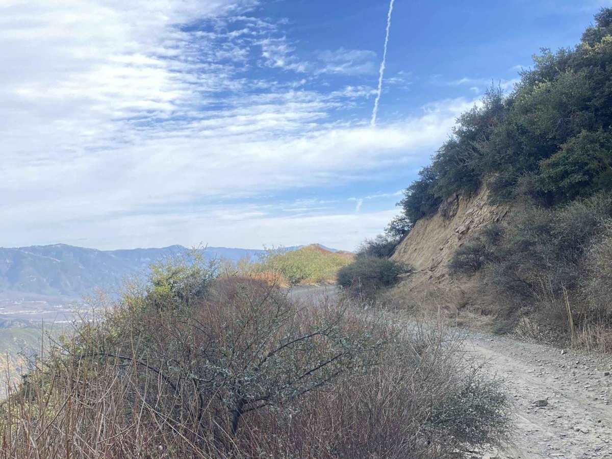 Big Tree Cucamonga - 1N34 trail photo