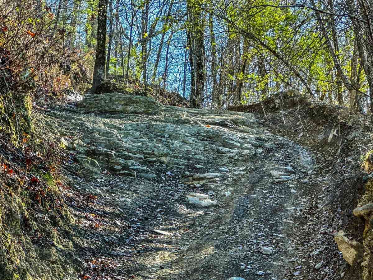 Switchback photo 4