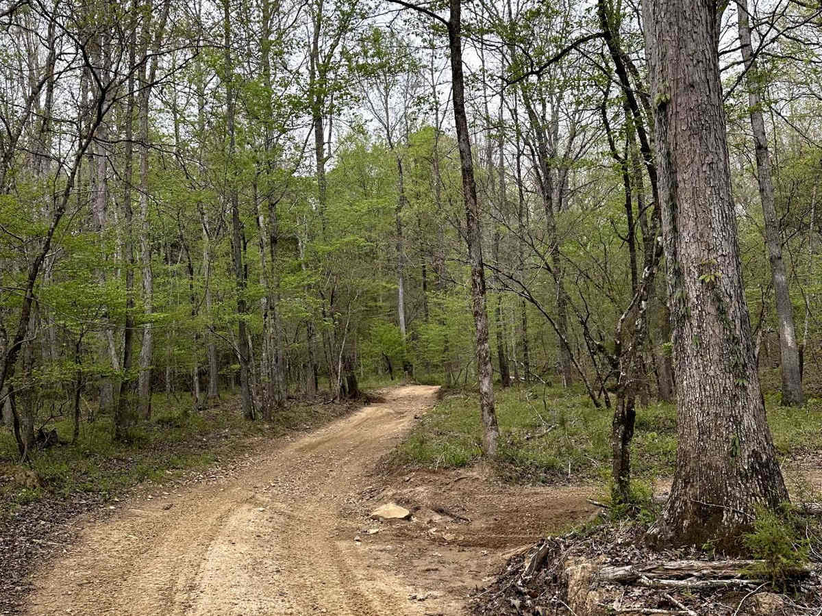 Trail 10 photo 2