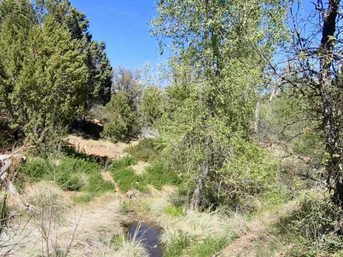 Arrastra Creek photo 4