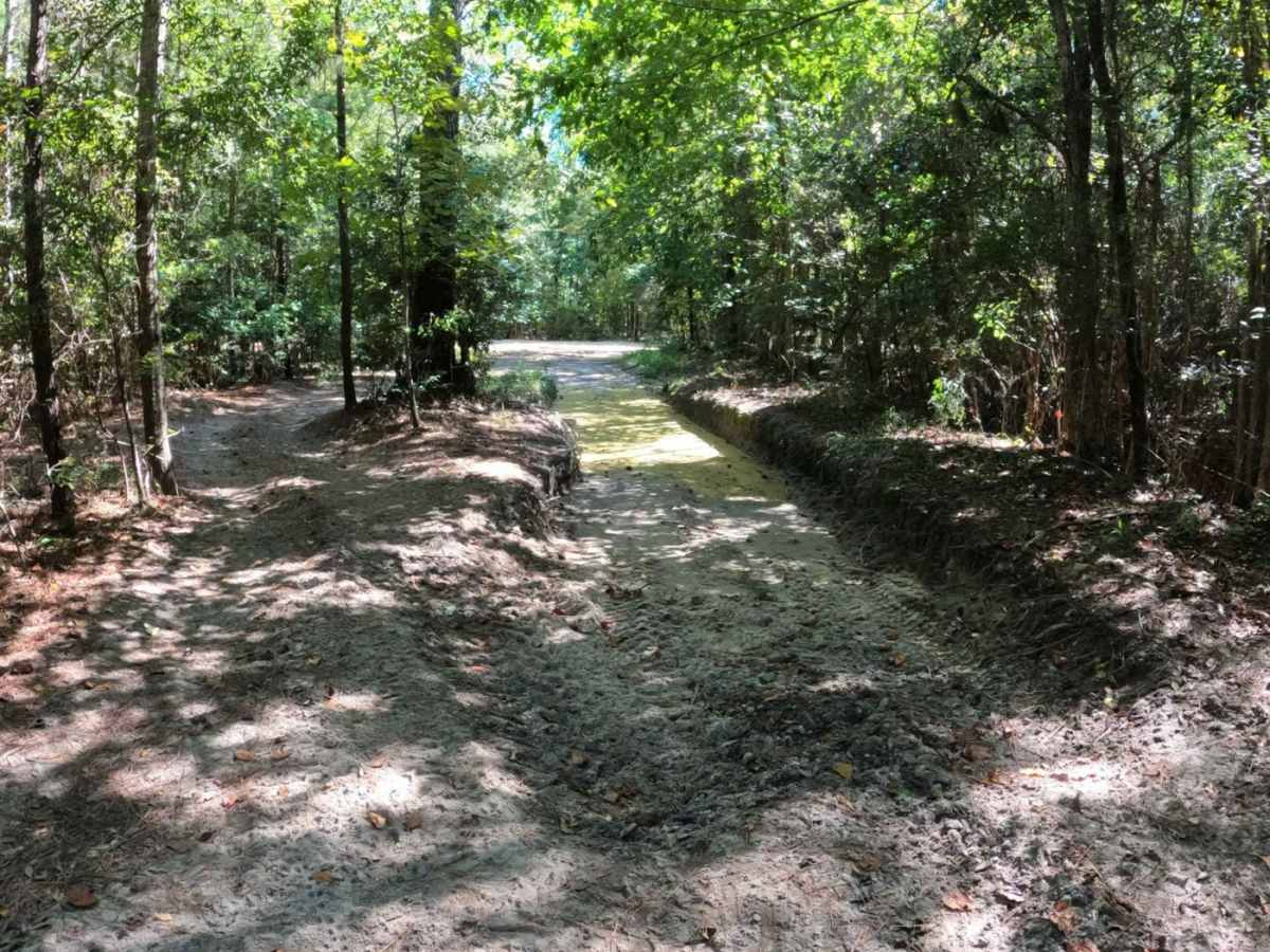 Fox Hollow photo 6