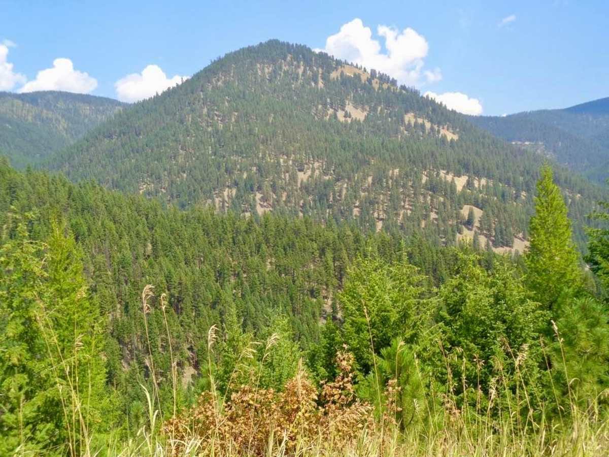 Thompson Peak Lookout Tower photo 6