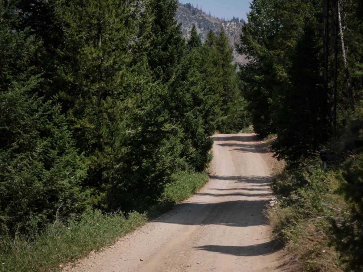 Challis Creek Road photo 3