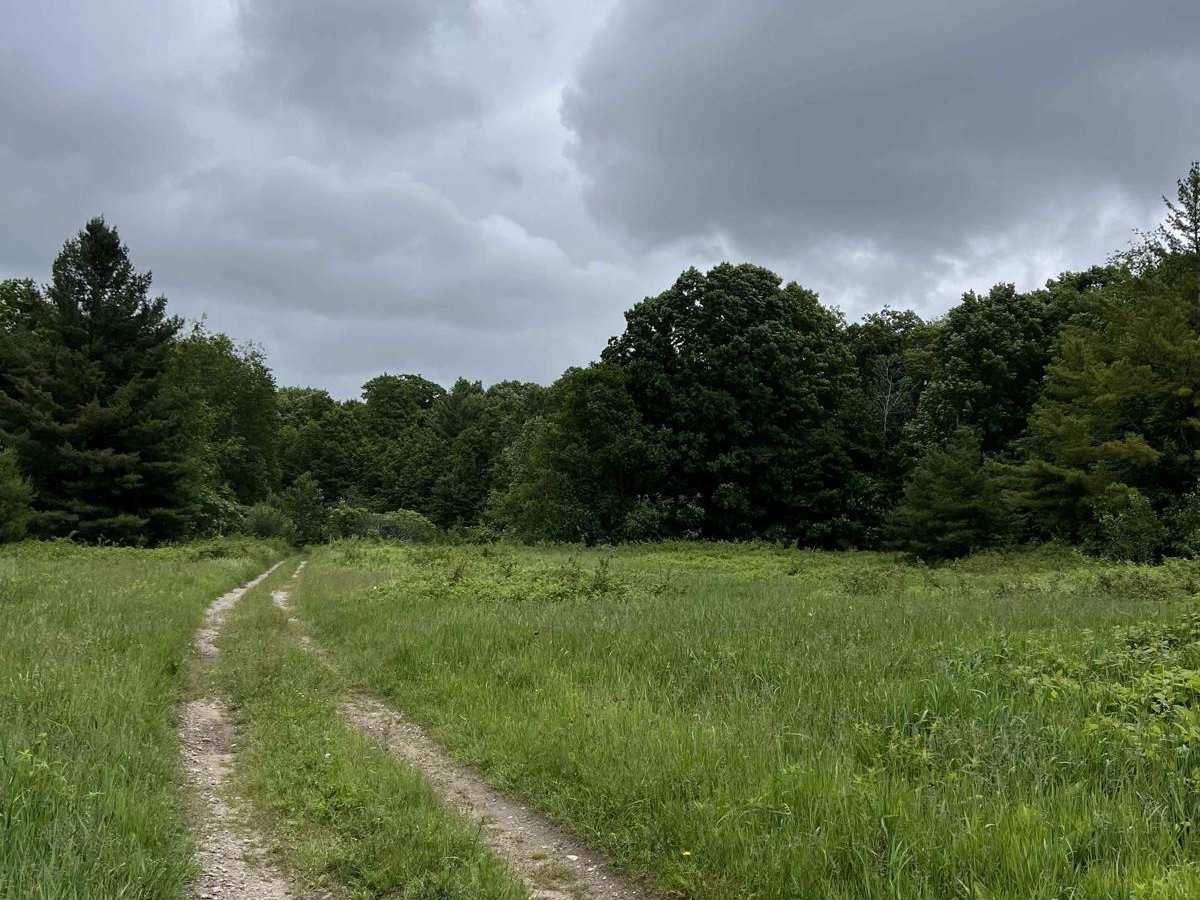 CR 489 to Avery Lake photo 3