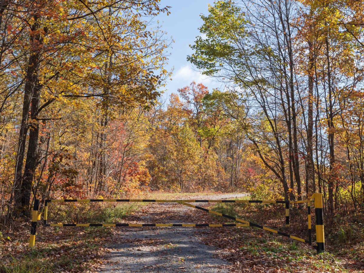 Hannah Furnace Road trail photo