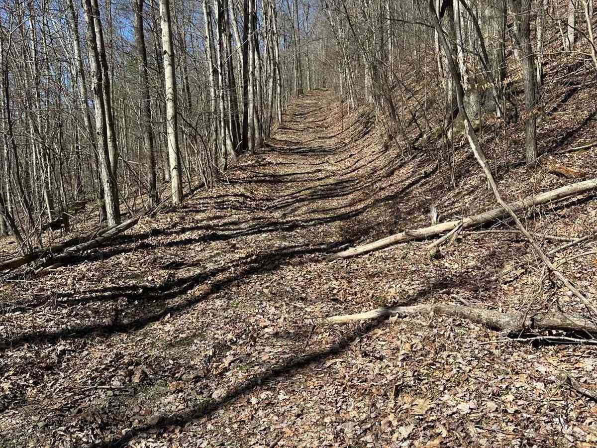 Sauerbier Road photo 4