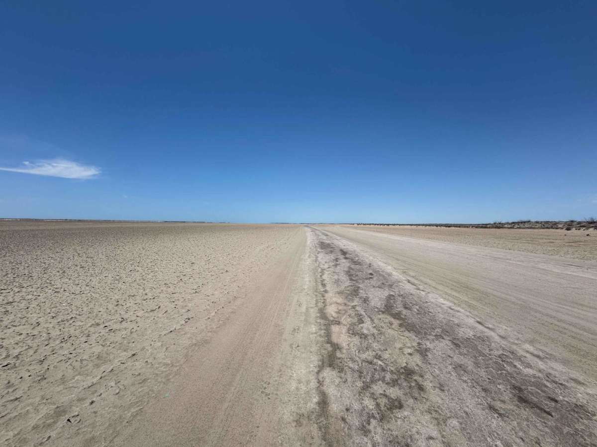 Salt Flats Datil photo 4