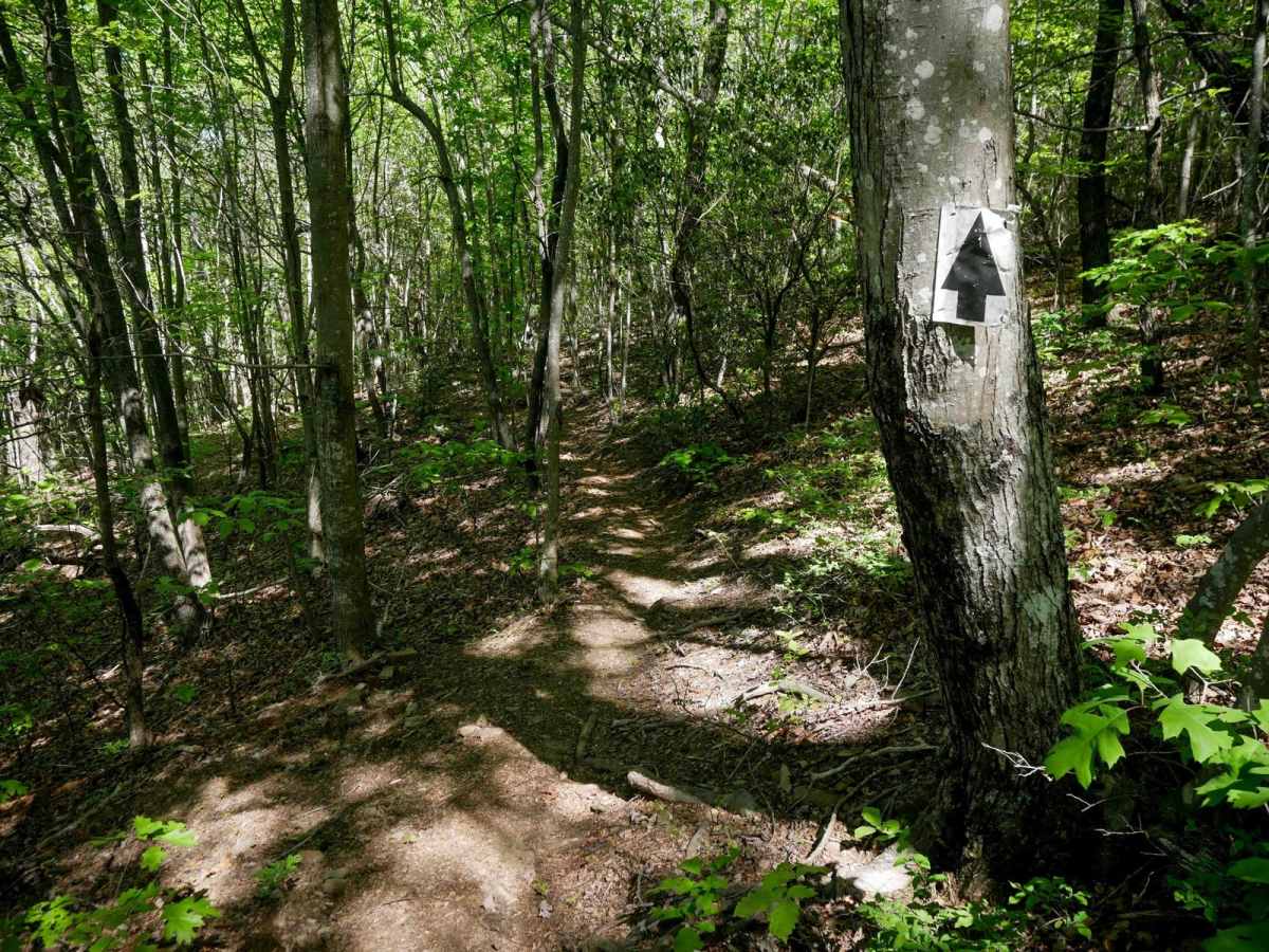 Enduro Trail photo 4